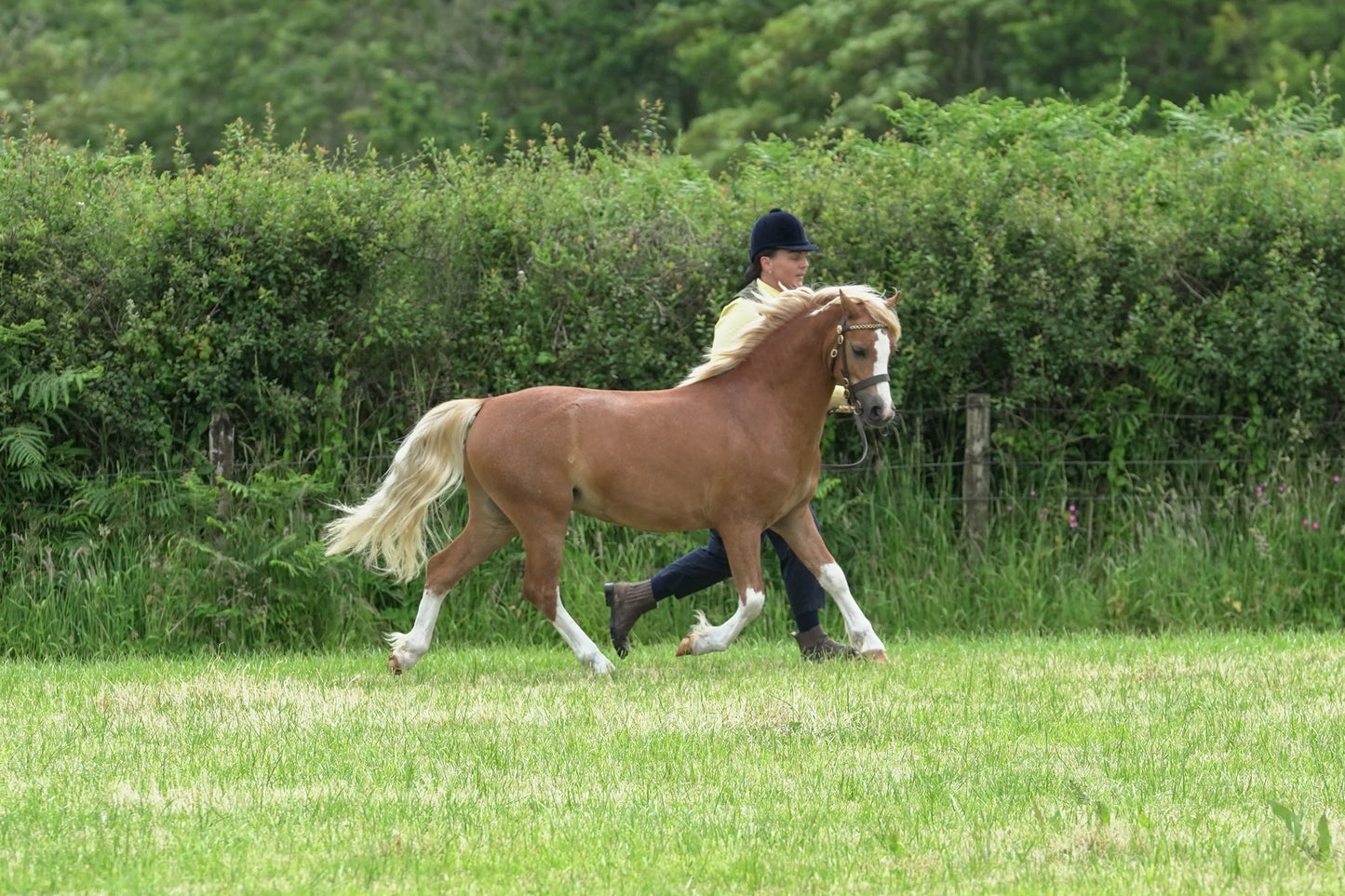 fbh in hand class1