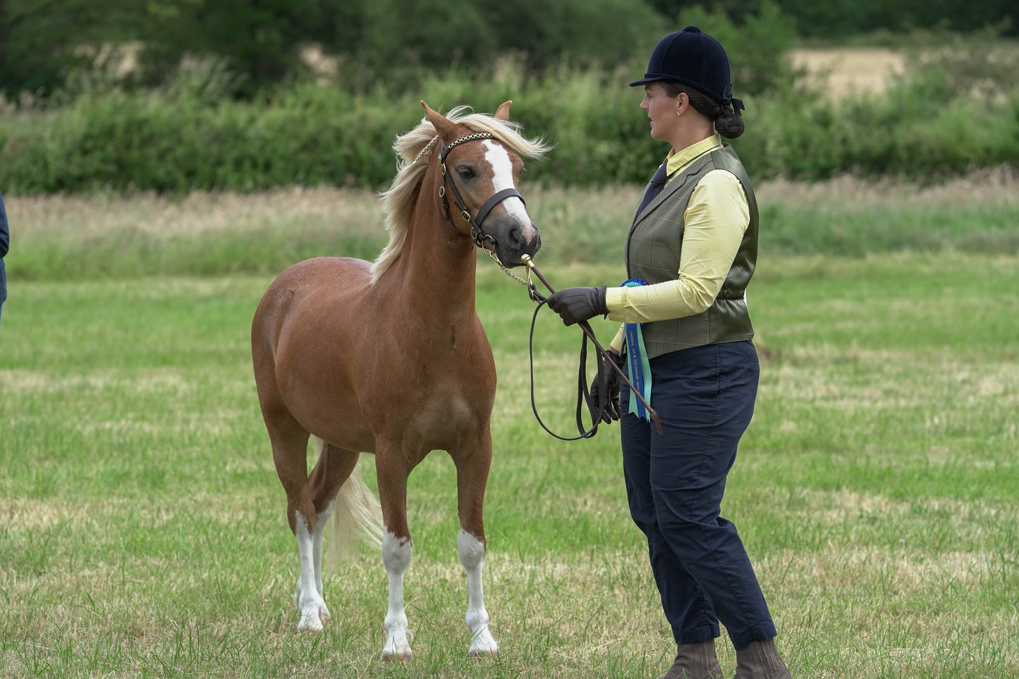 fbh in hand class1