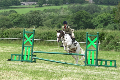 fbh hunter ring