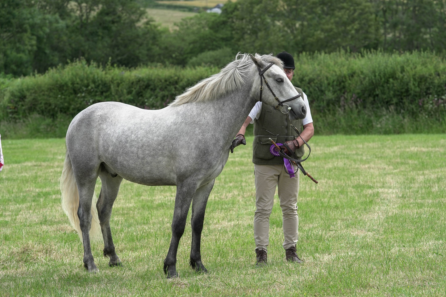 fbh in hand class1