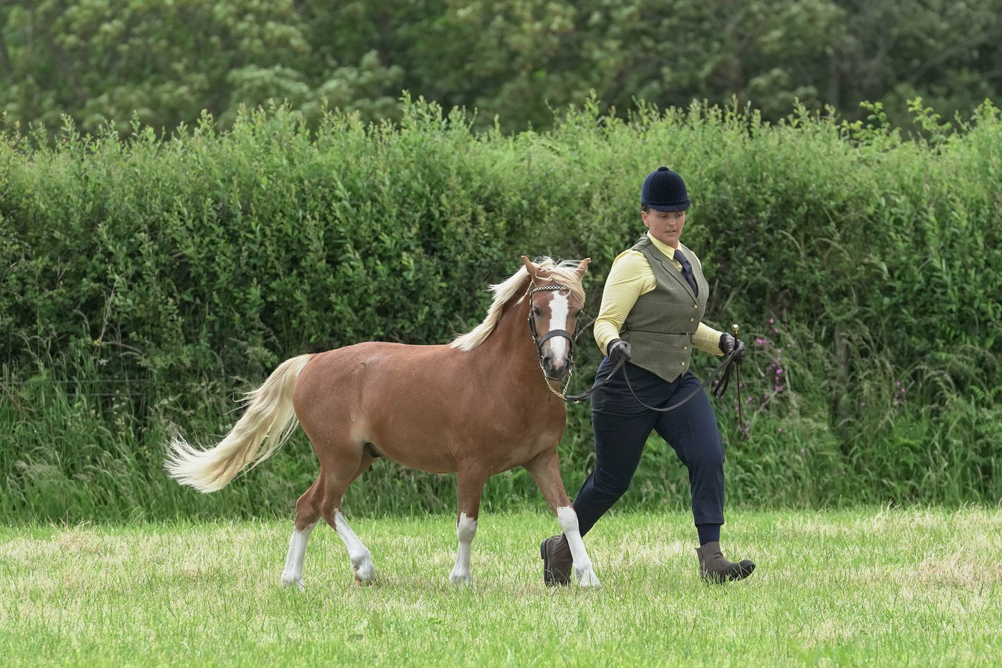 fbh in hand class 2