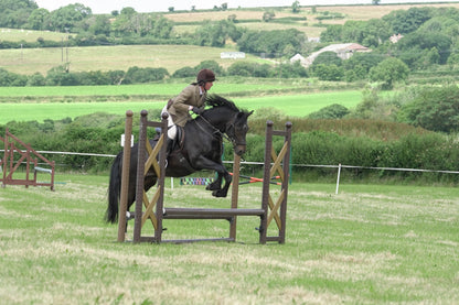 fbh hunter ring