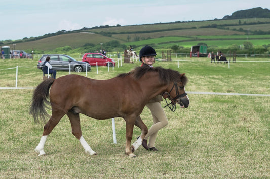 fbh in hand class 4