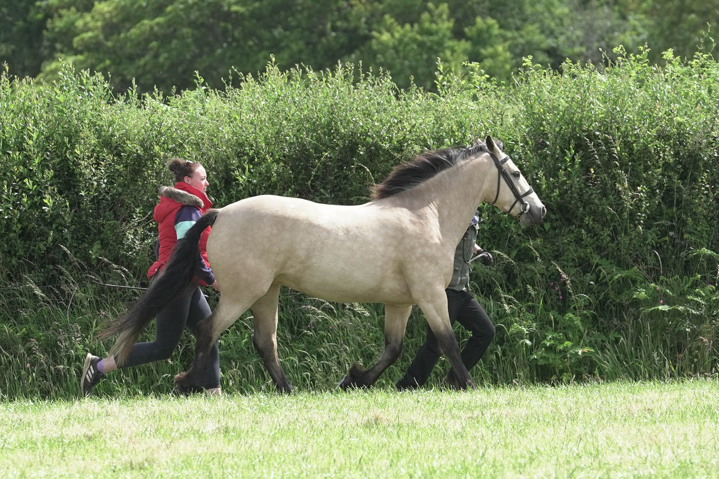 fbh in hand class 4