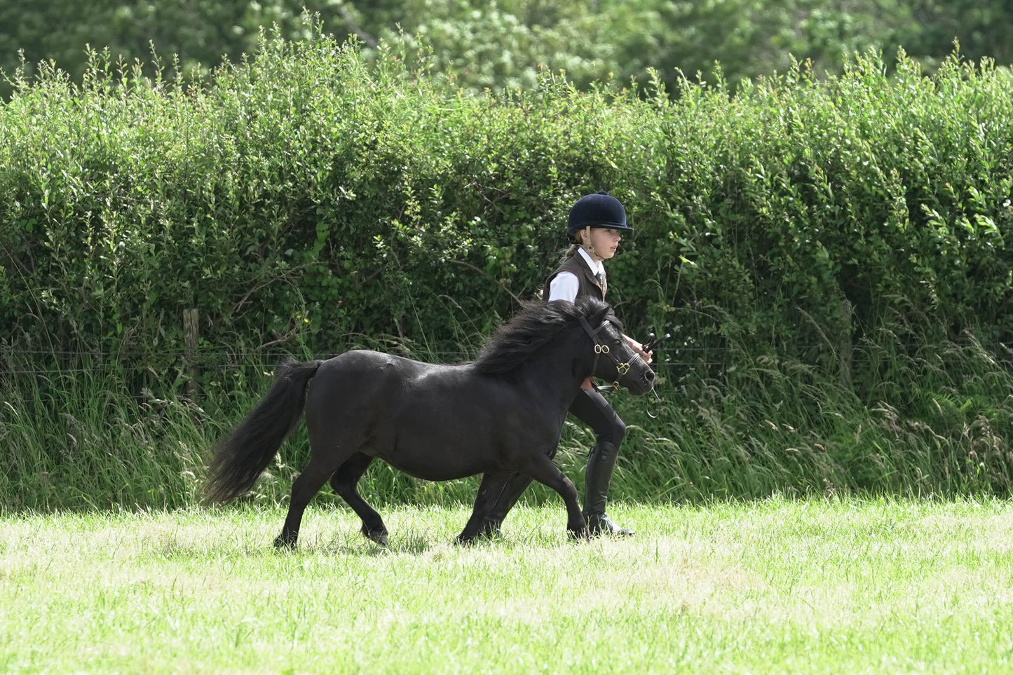 fbh in hand class 4
