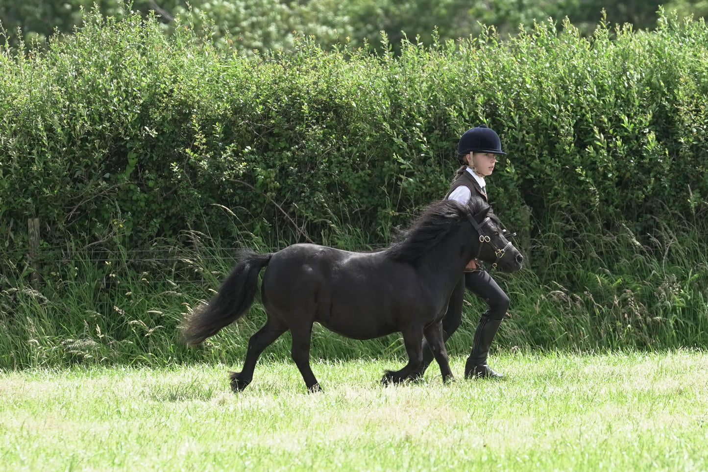 fbh in hand class 4