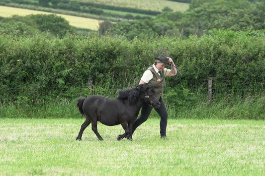 fbh in hand class 5