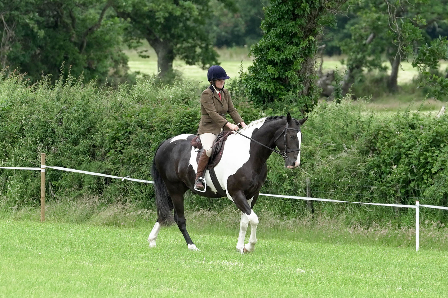 fbh in hand class 5