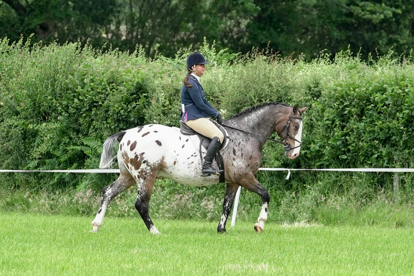 fbh in hand class 5