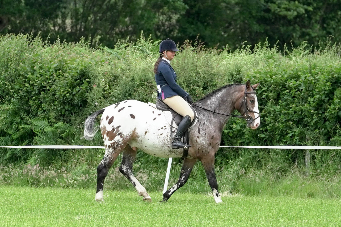 fbh in hand class 5
