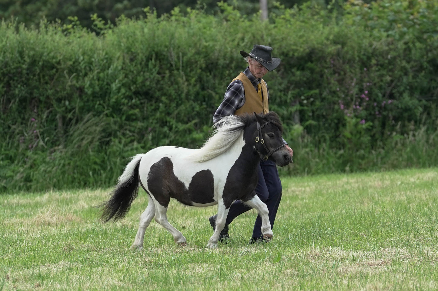 fbh in hand class 5