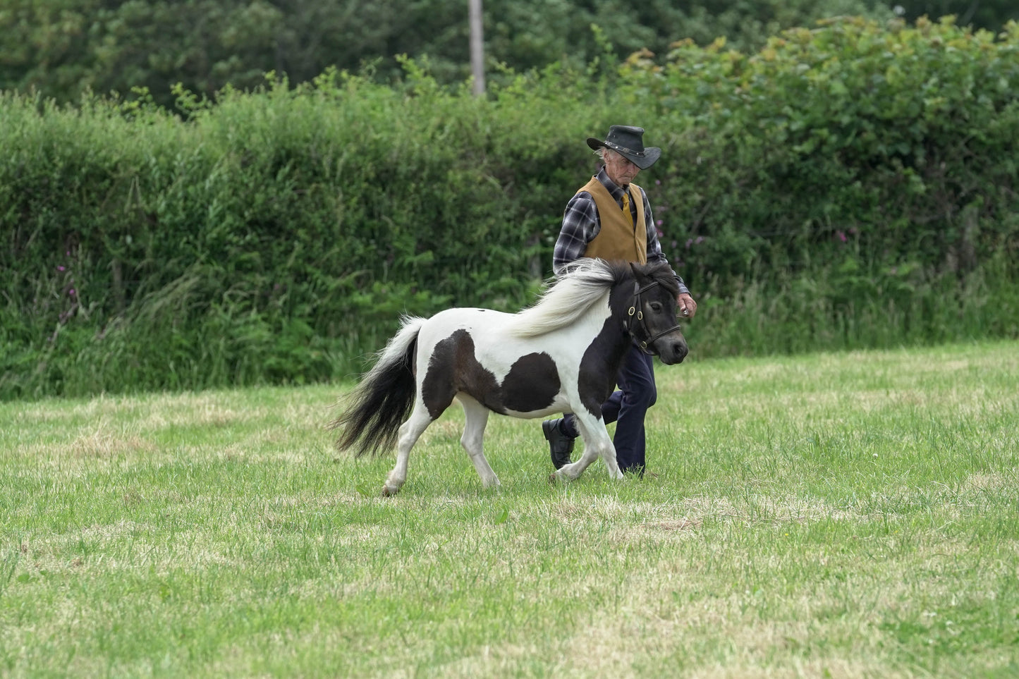 fbh in hand class 5