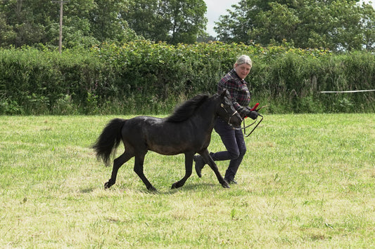 fbh in hand class 6
