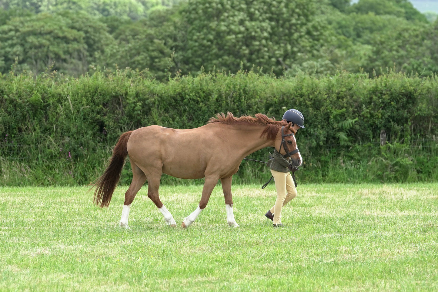 fbh in hand class 6