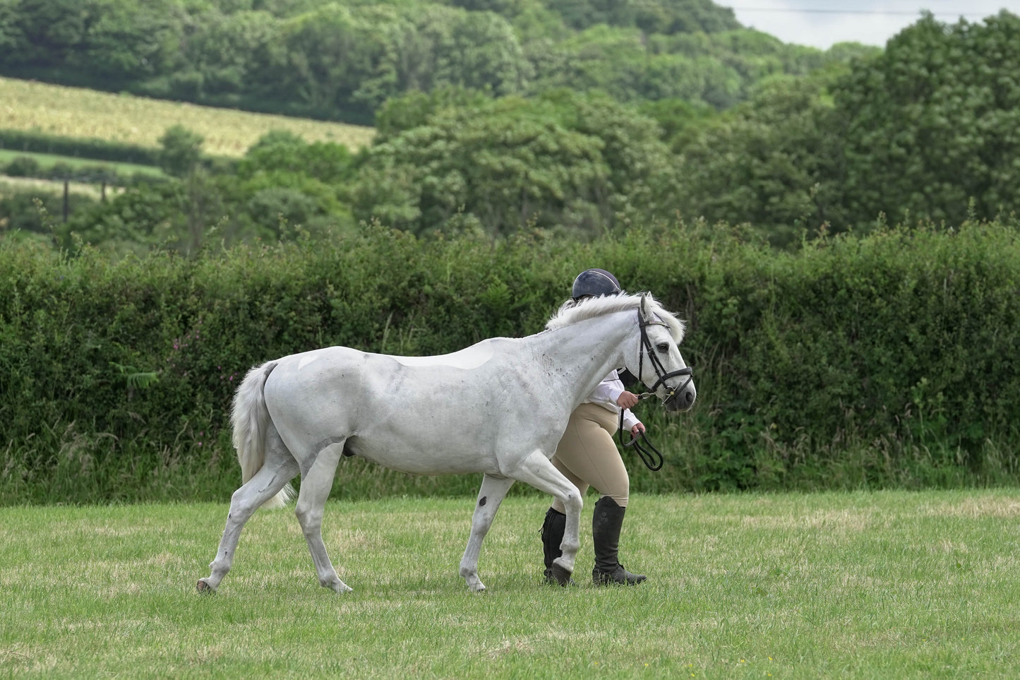 fbh in hand class 6