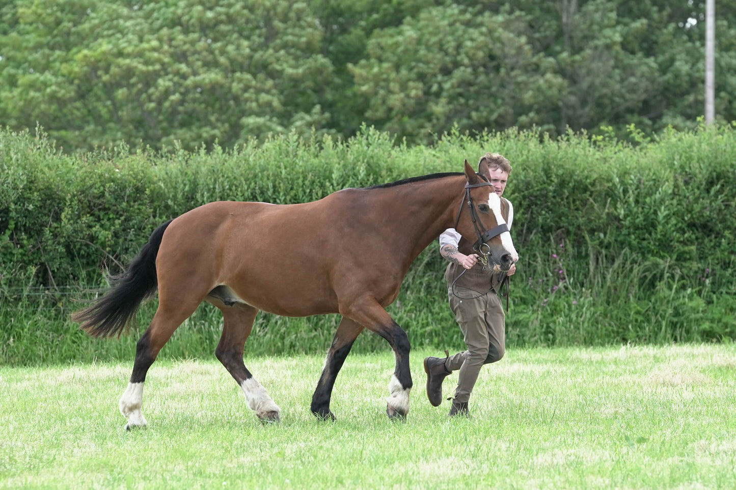 fbh in hand class 6