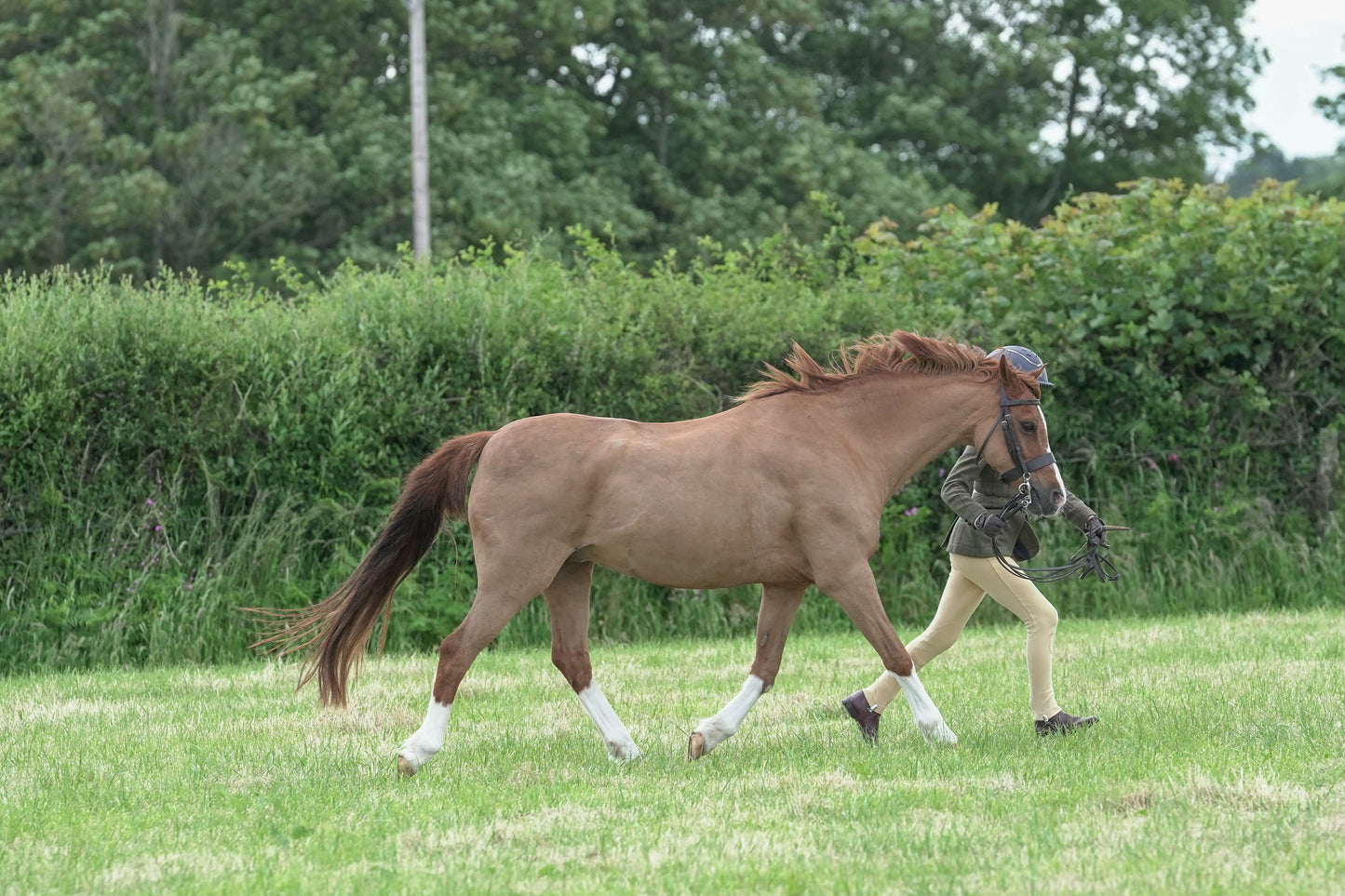 fbh in hand class 6
