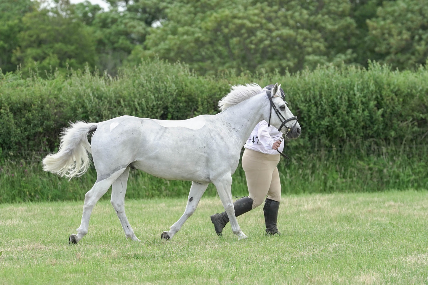 fbh in hand class 6
