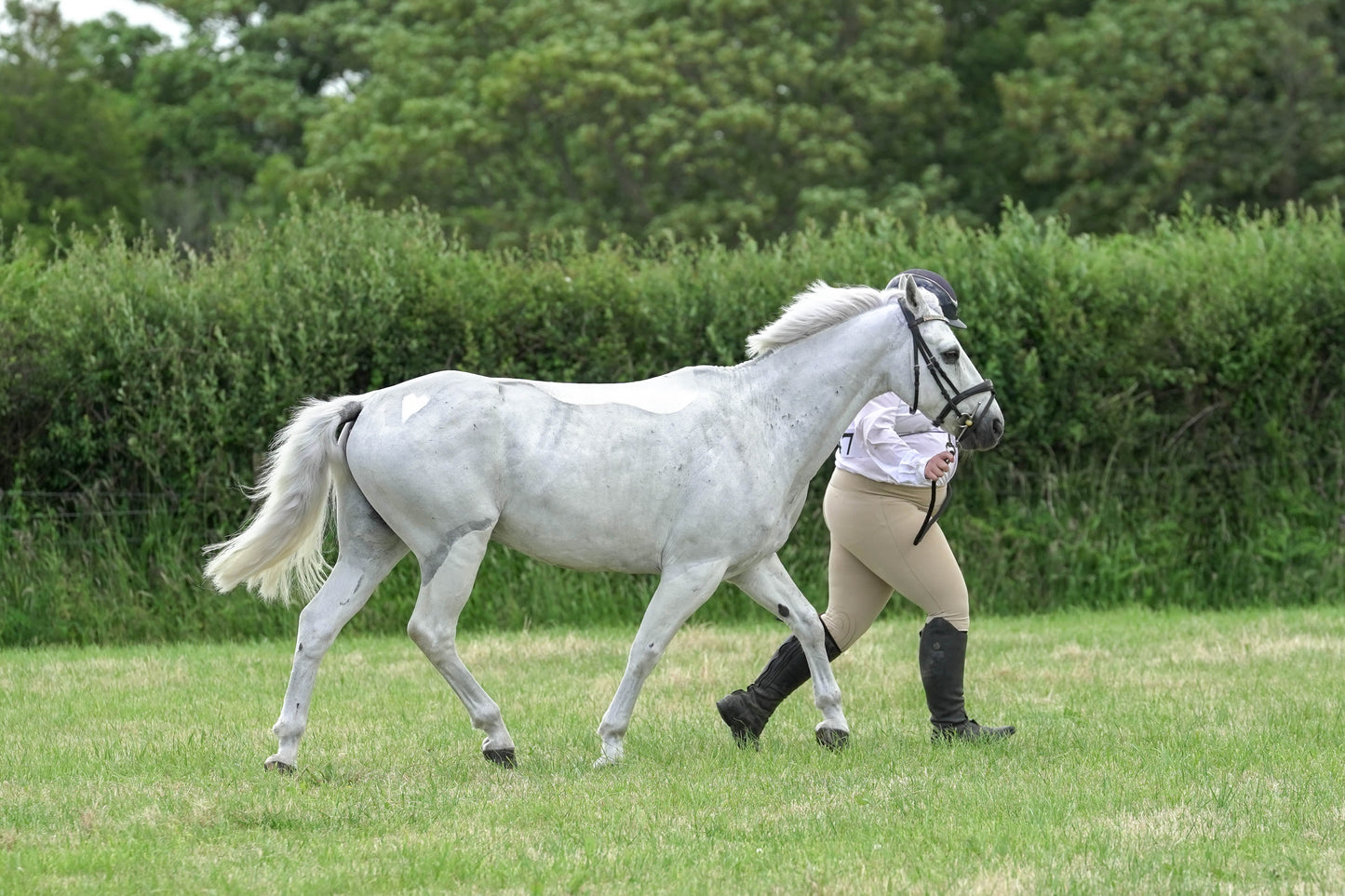 fbh in hand class 6