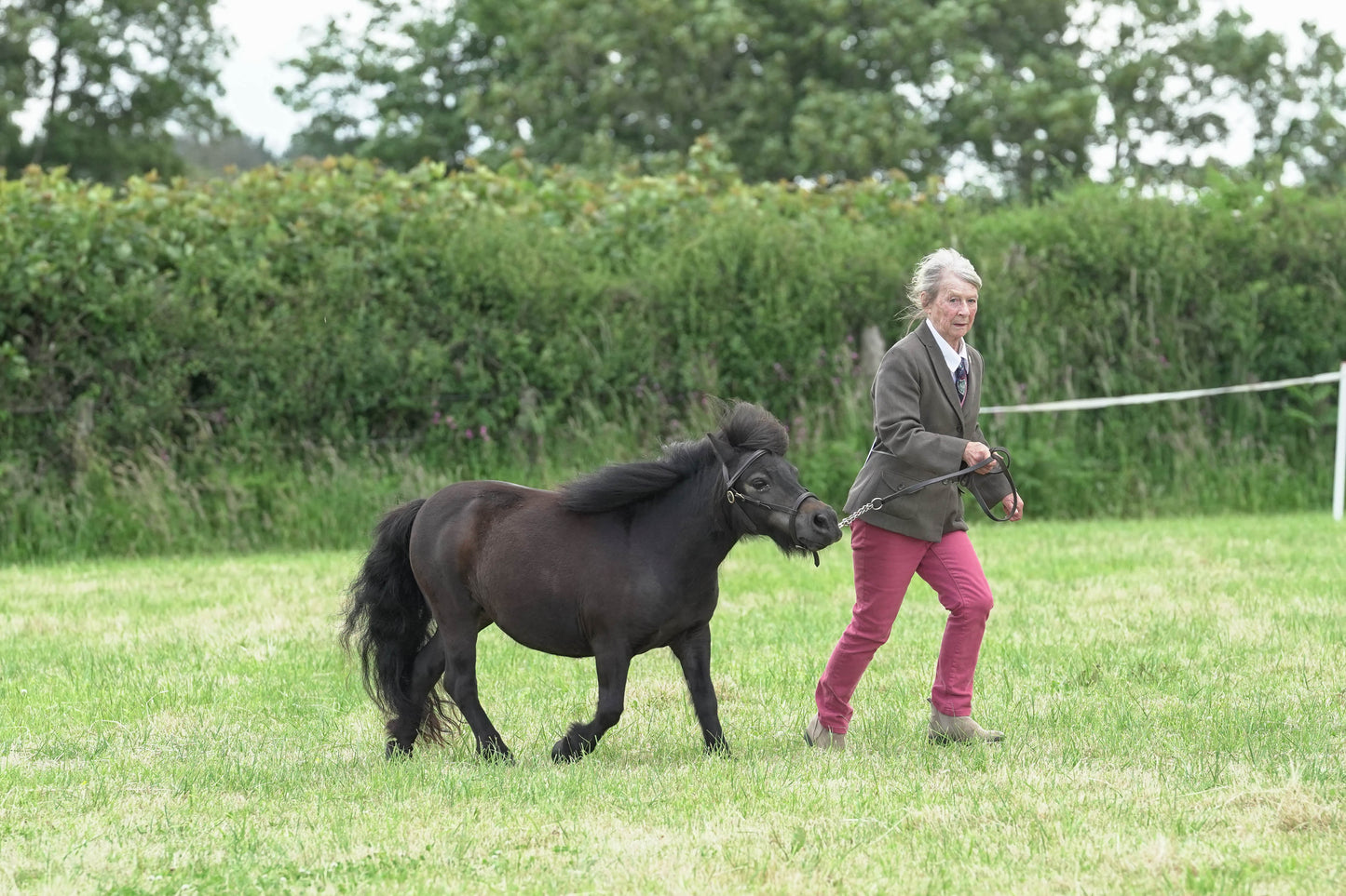 fbh in hand class 6