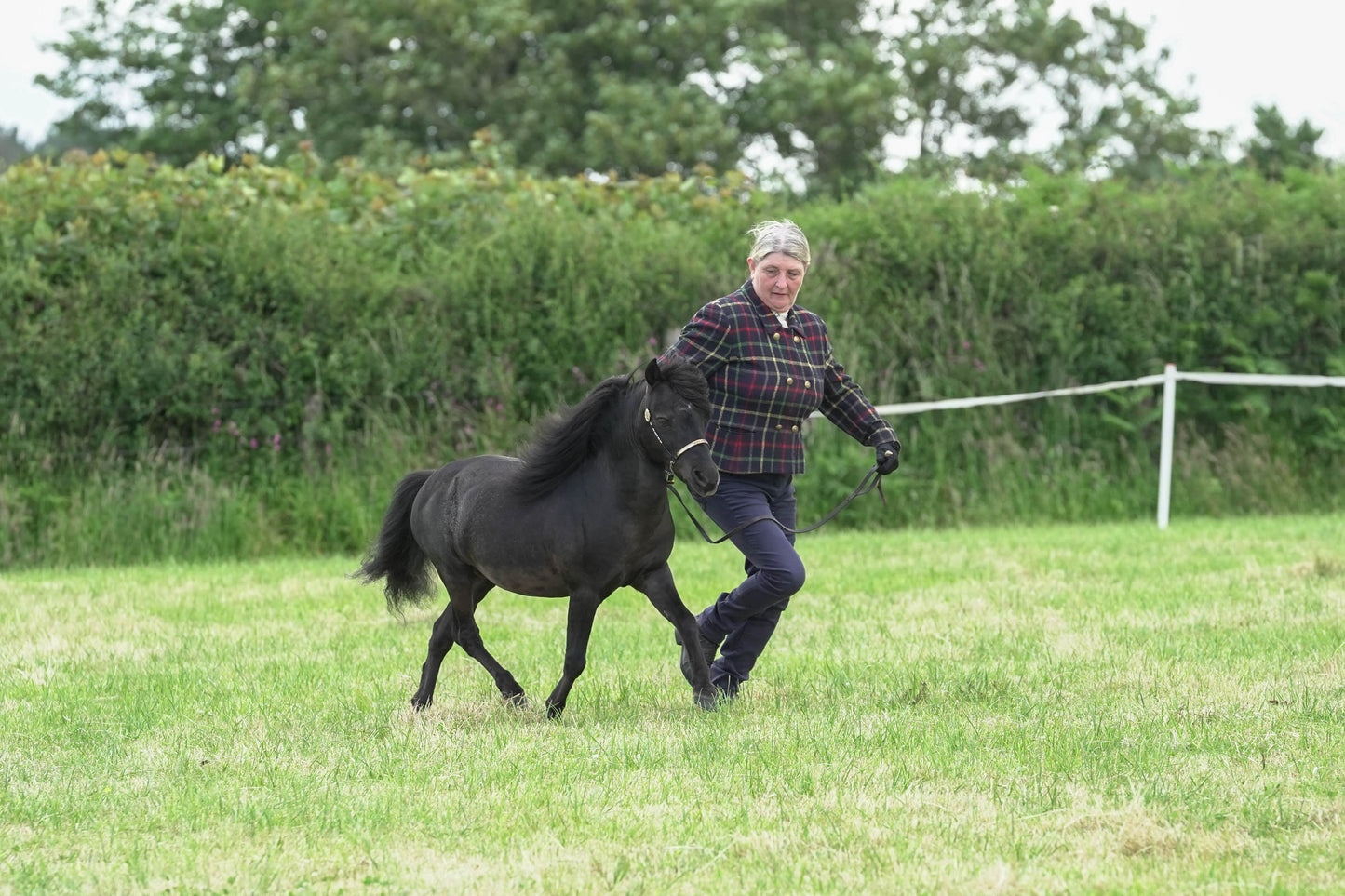 fbh in hand class 6