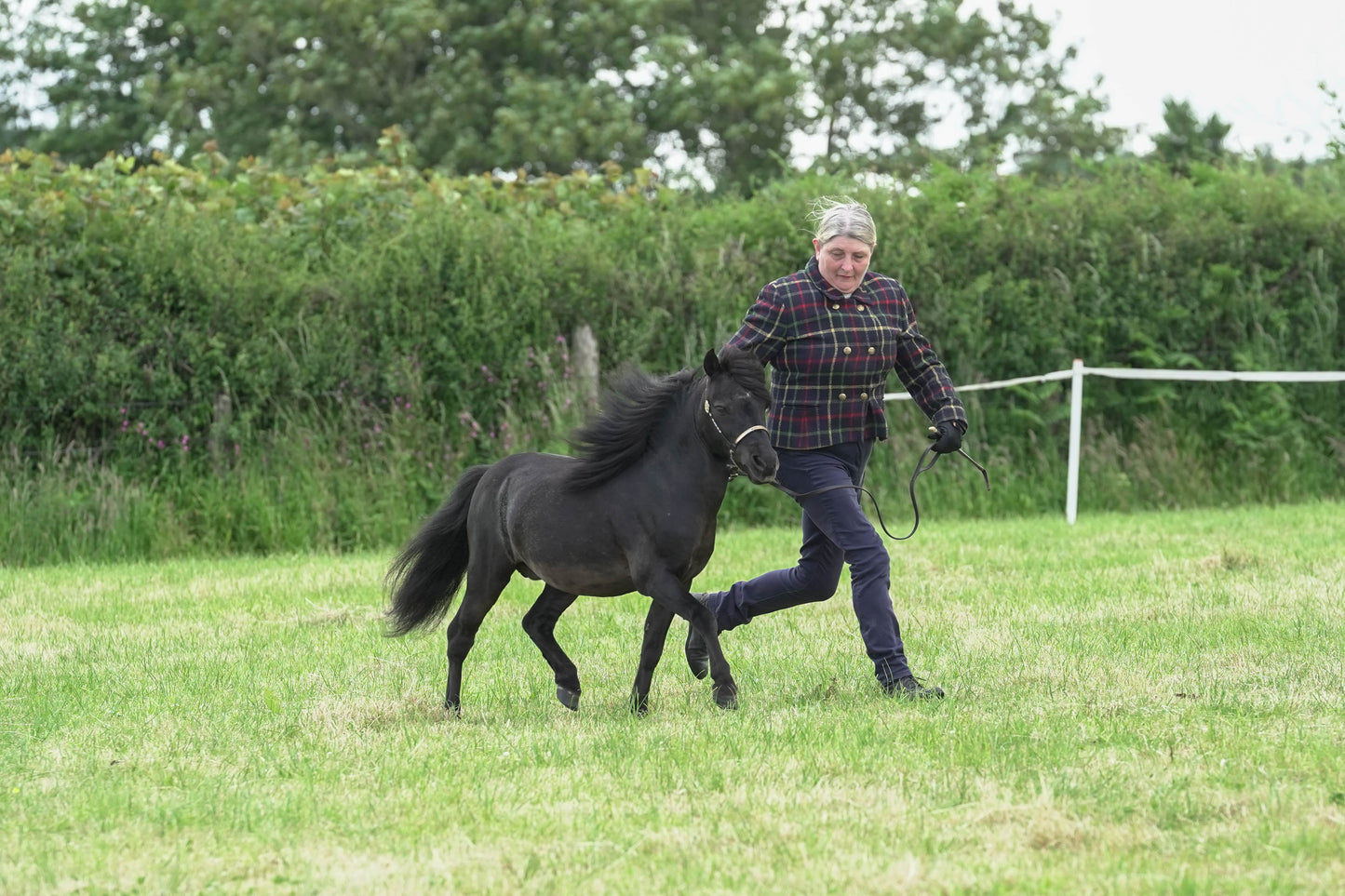 fbh in hand class 6