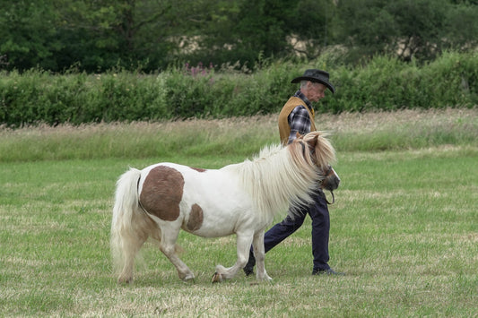 fbh in hand class 7