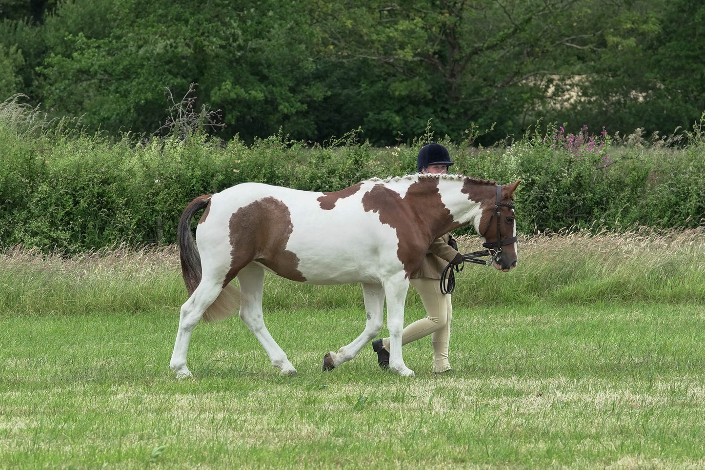 fbh in hand class 7