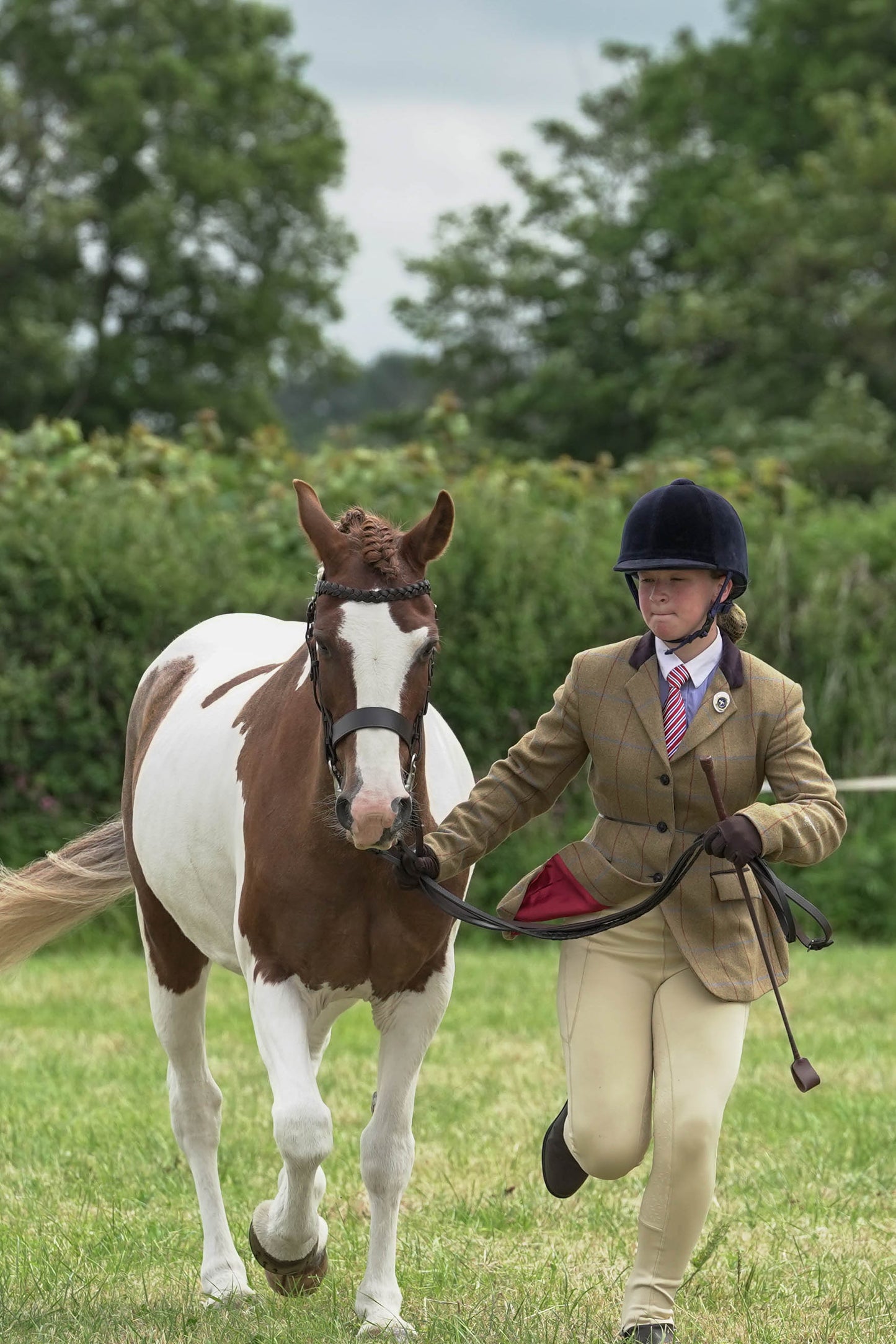 fbh in hand class 7