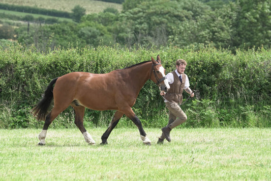 fbh in hand class 8