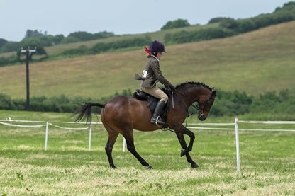 fbh hunter ring