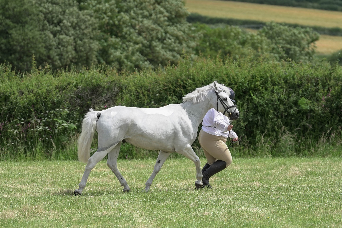 fbh in hand class 8