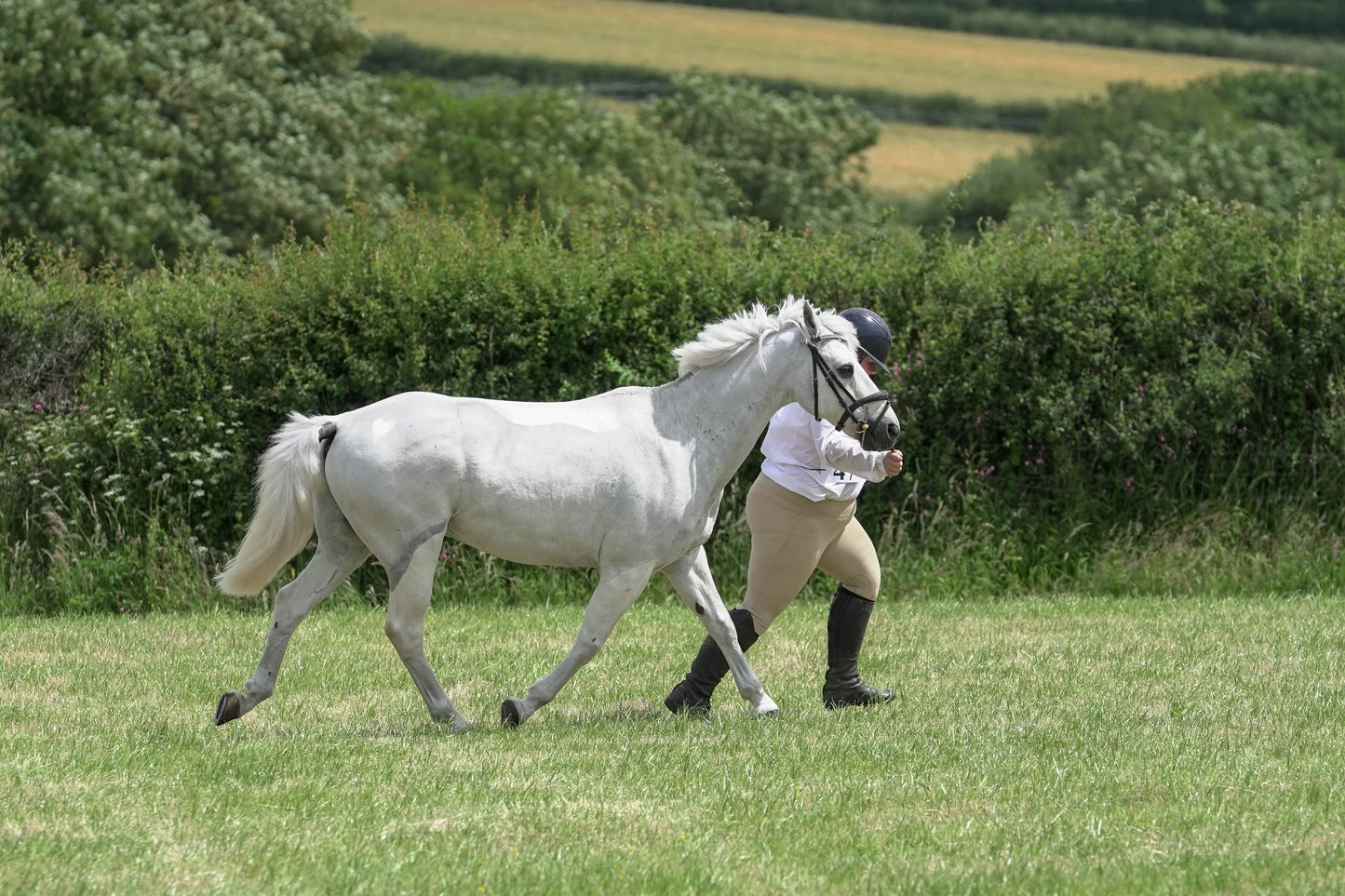 fbh in hand class 8