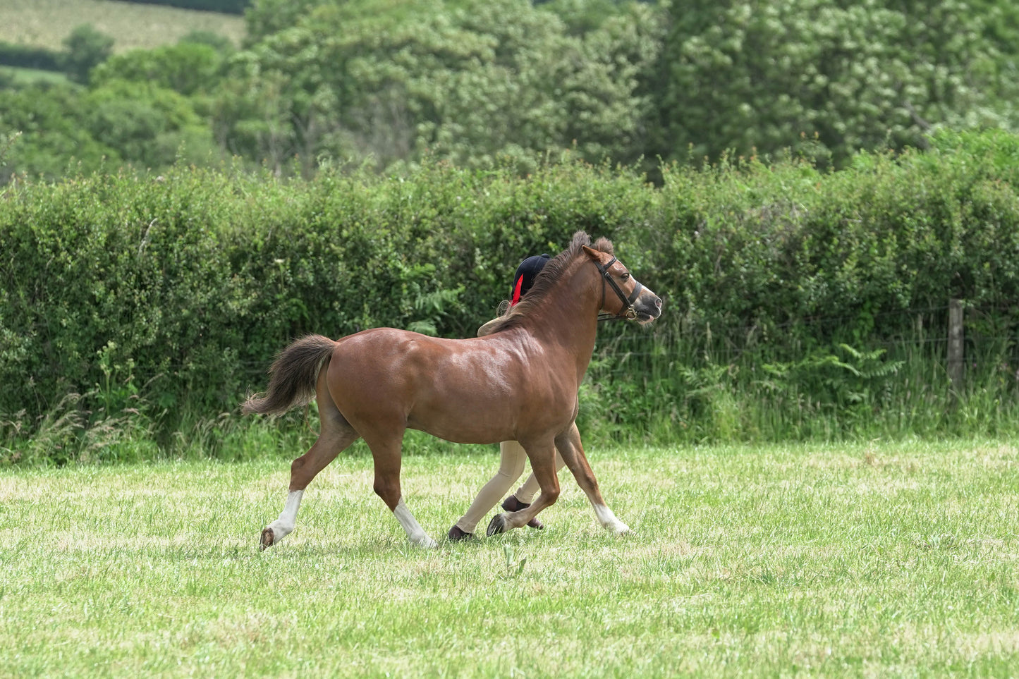 fbh in hand class 8