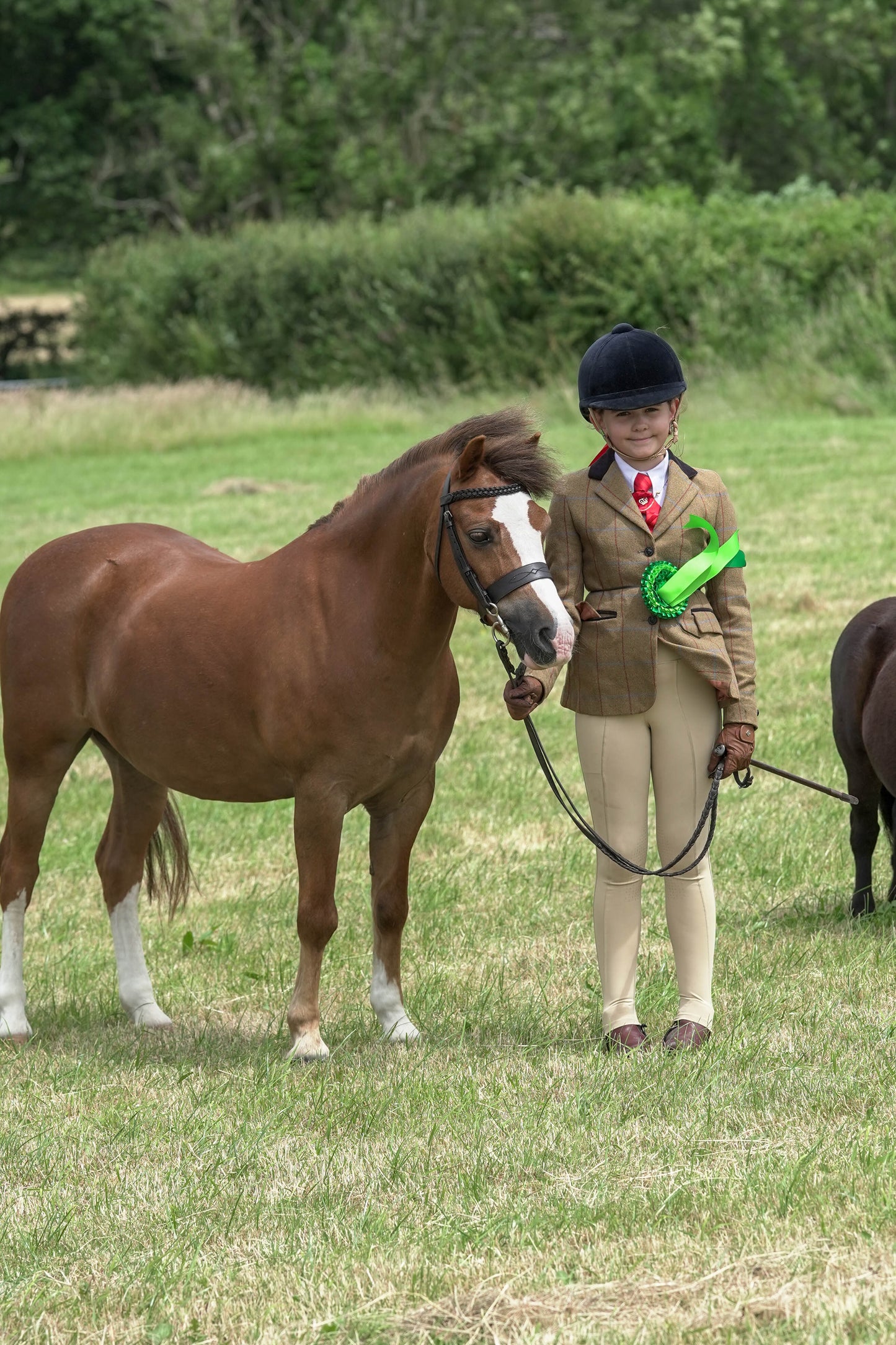 fbh in hand class 8