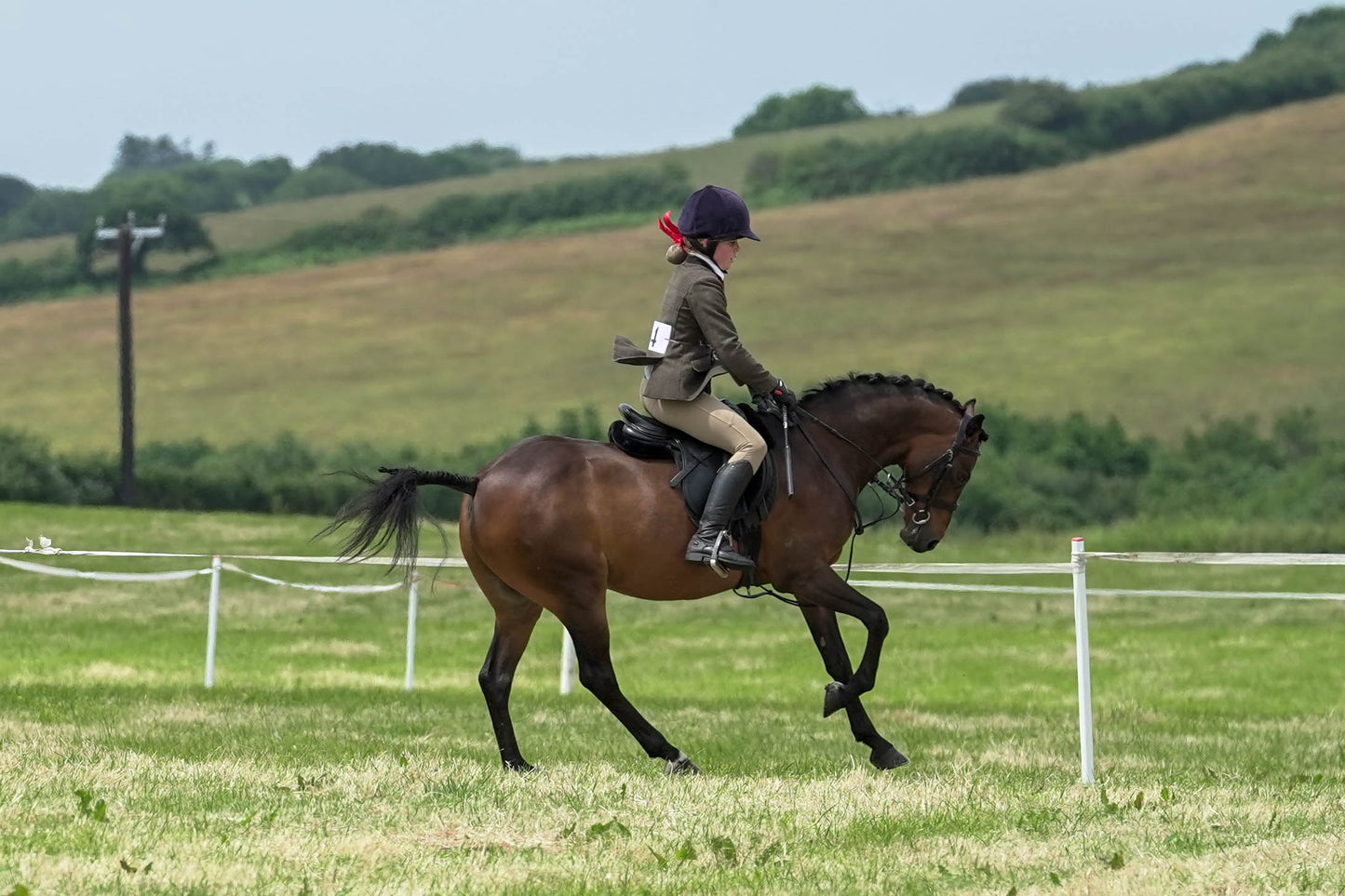 fbh hunter ring
