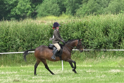 fbh hunter ring