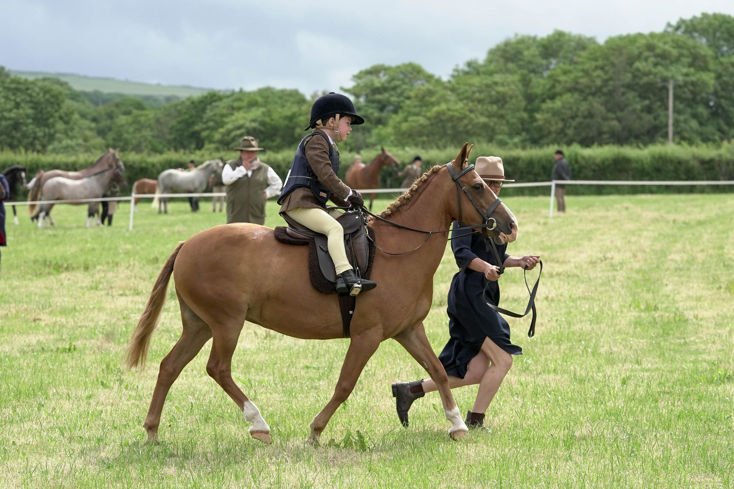 fbh ridden class 1