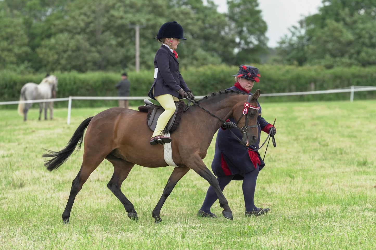 fbh ridden class 1