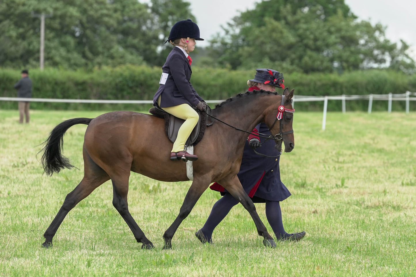 fbh ridden class 1
