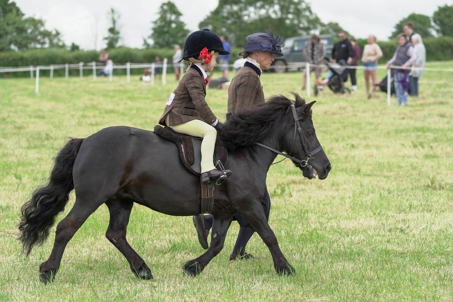 fbh ridden class 1