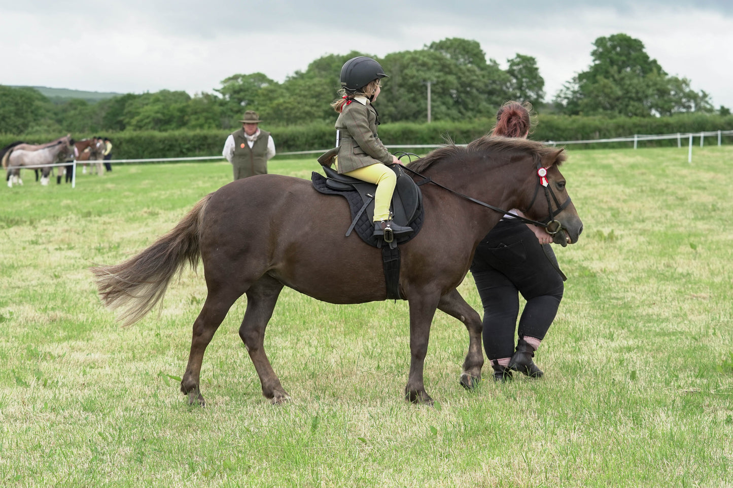 fbh ridden class 1