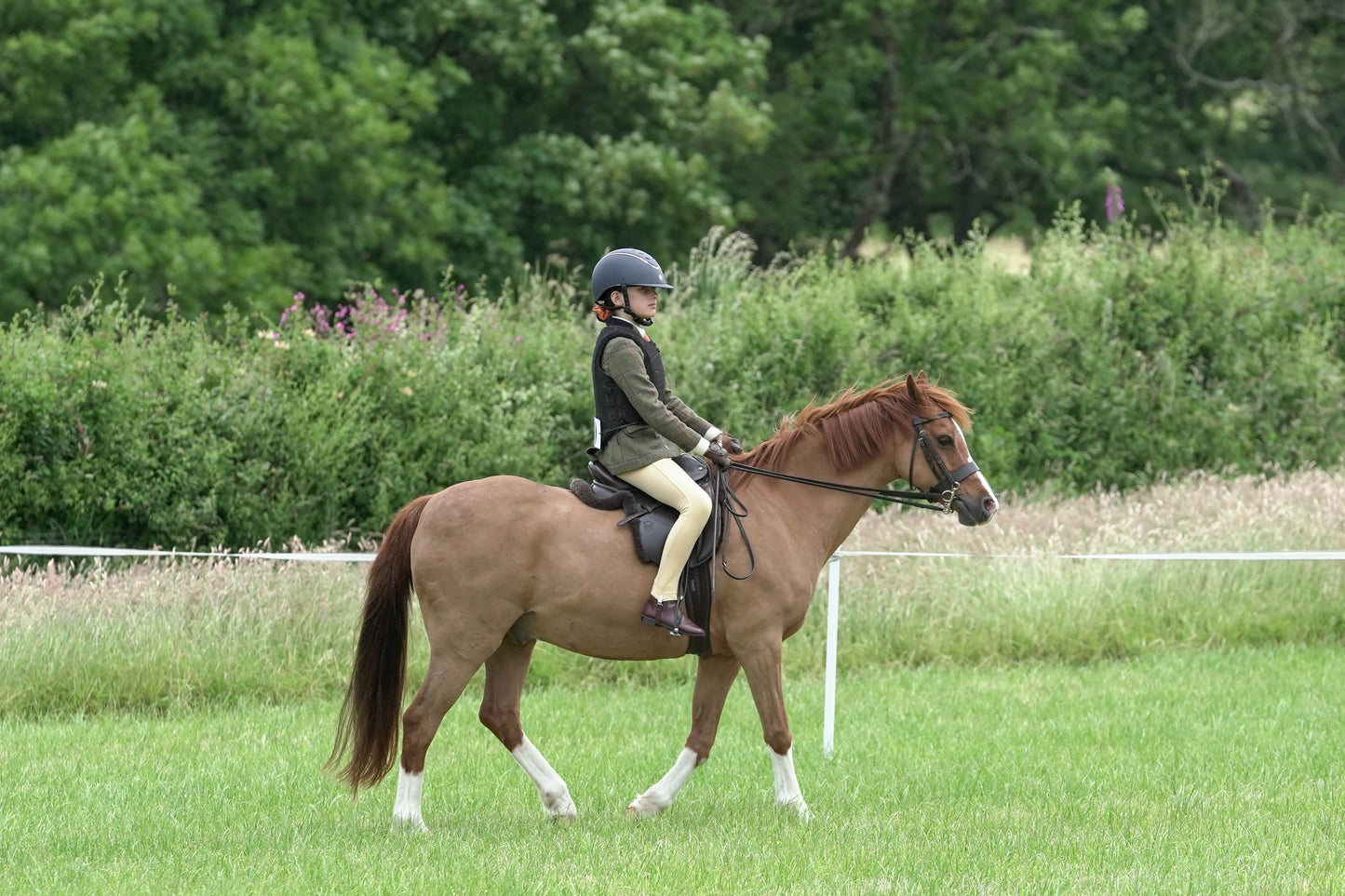 fbh ridden class 2