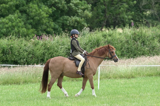 fbh ridden class 2