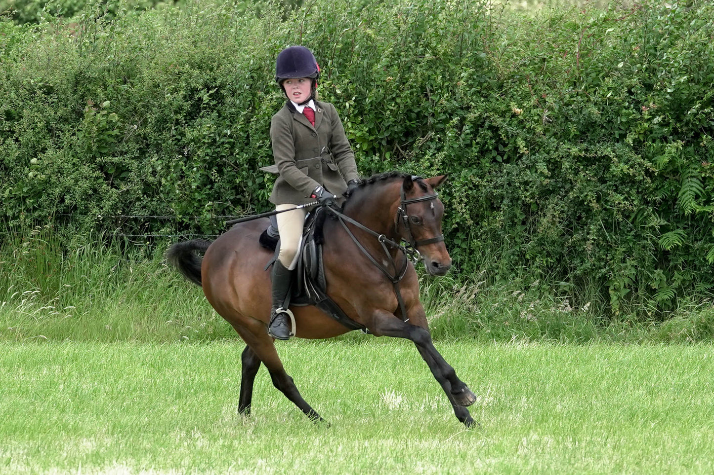 fbh hunter ring