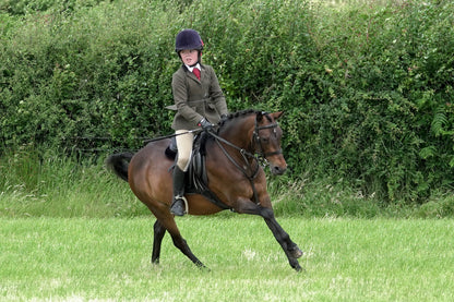 fbh hunter ring