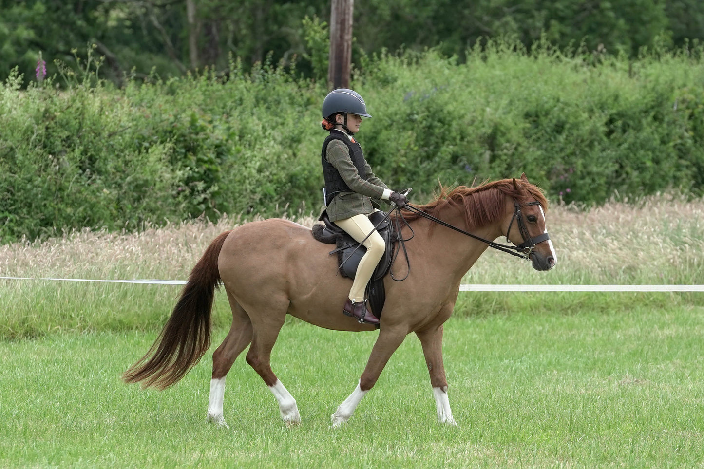 fbh ridden class 2