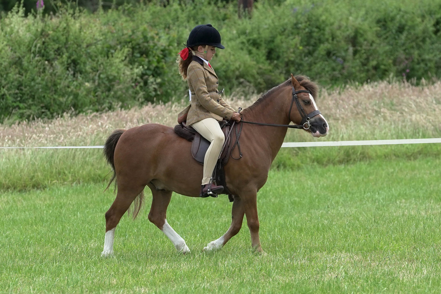 fbh ridden class 2