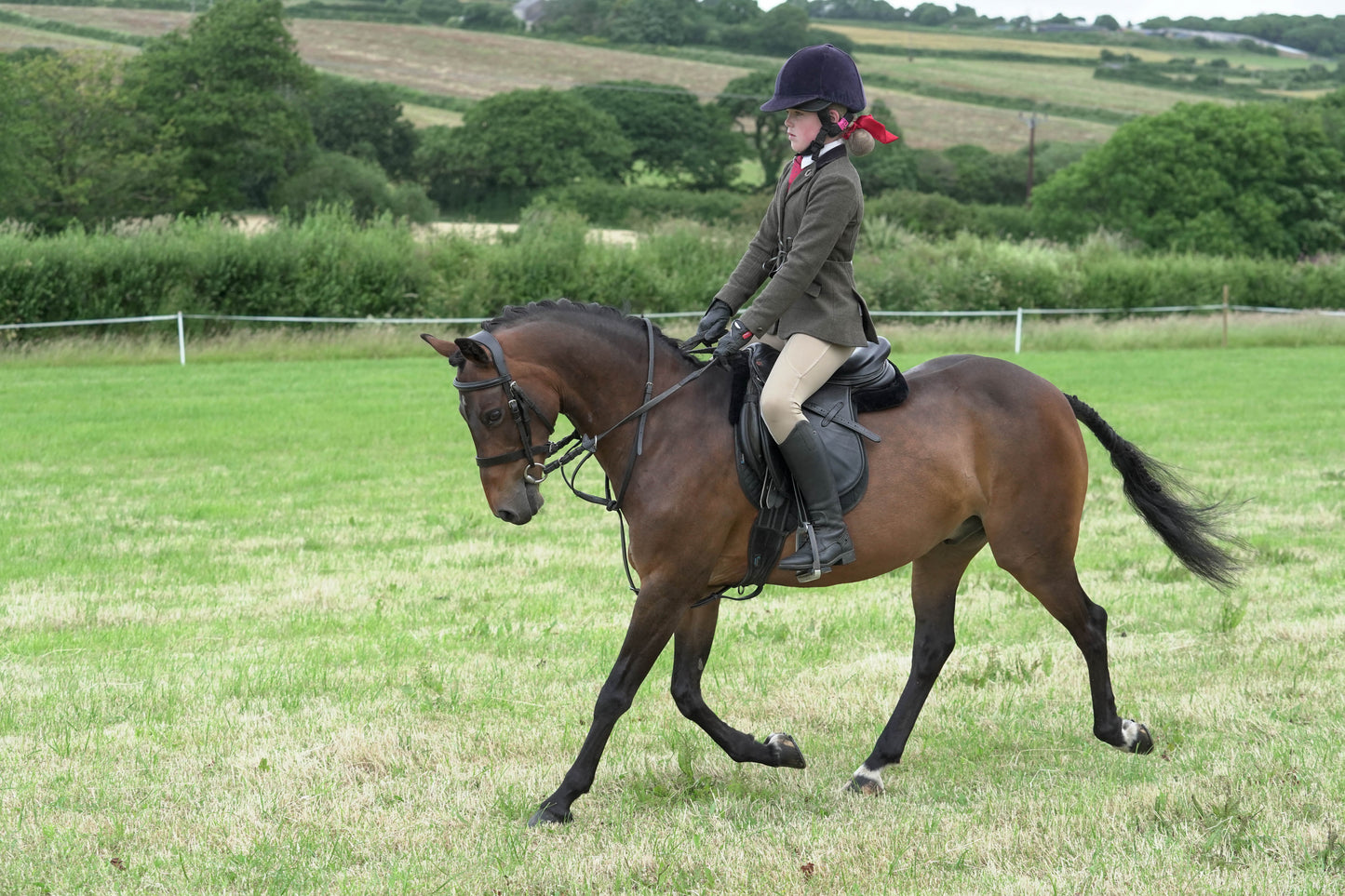 fbh ridden class 2