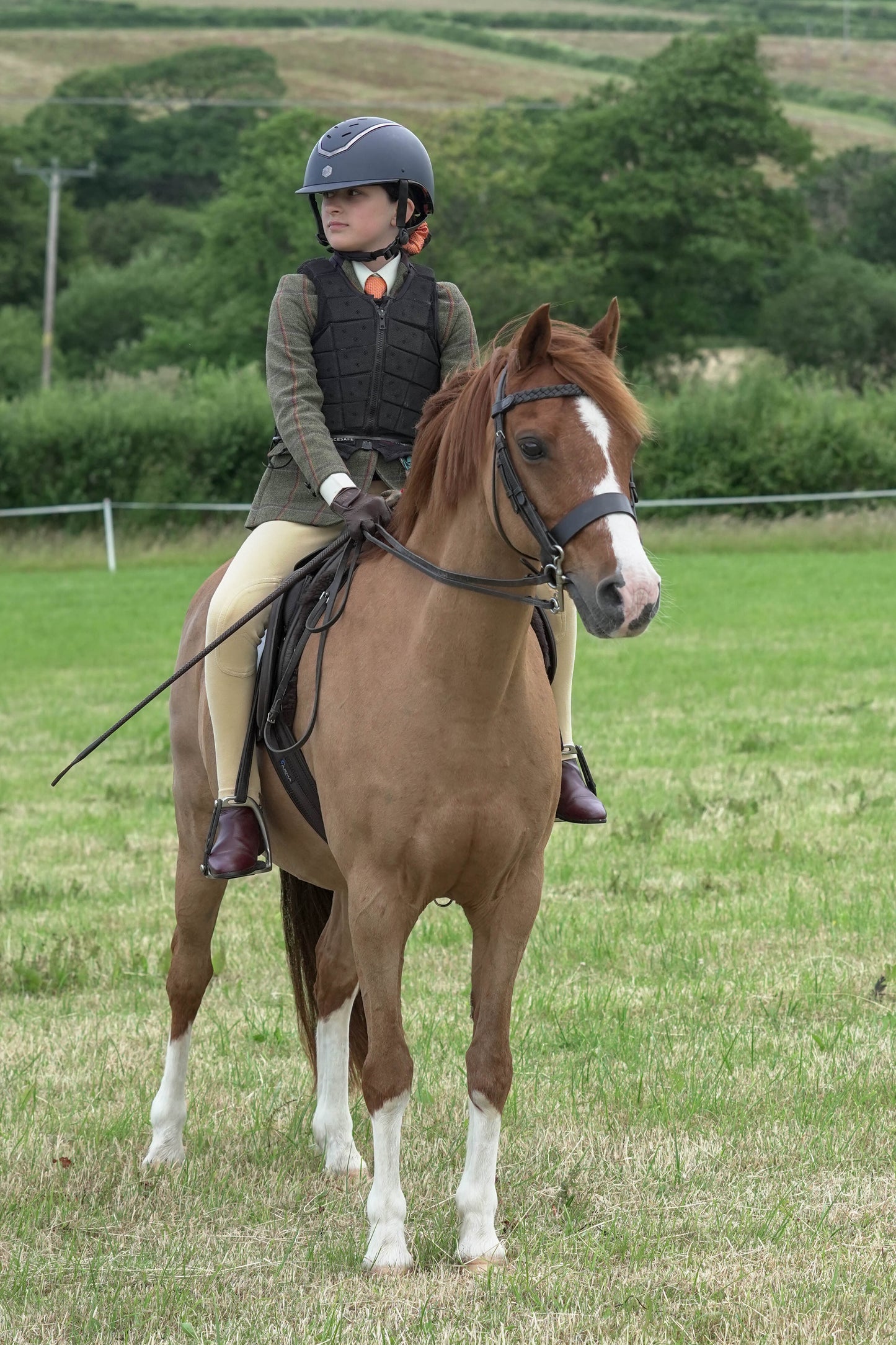 fbh ridden class 2